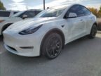 white 2021 Tesla Model Y ultimate plus paint protection and fusion plus ceramic coating